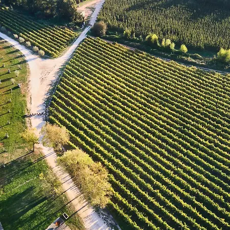 Quinta Do Porto Nogueira (adults Only) Çiftlik konaklama *