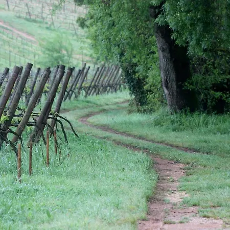 Quinta Do Porto Nogueira (adults Only) Κατάλυμα σε φάρμα Alguber