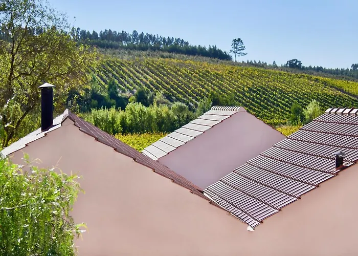 Quinta Do Porto Nogueira (adults Only) Alguber