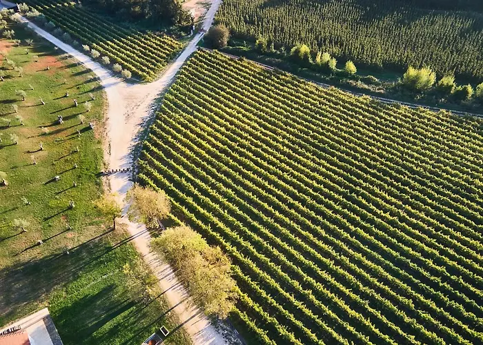 Quinta Do Porto Nogueira (adults Only) Vakantieboerderij *