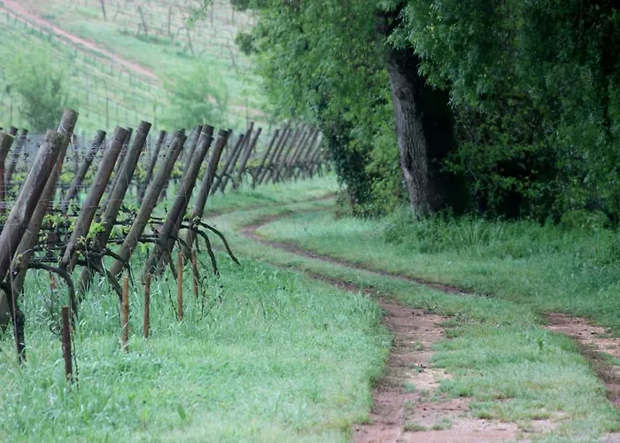 Quinta Do Porto Nogueira (adults Only) Vakantieboerderij Alguber